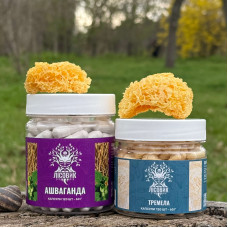 Курс Крепкий сон: Ашваганда и Тремелла (2 месяца), "Лесовик", 240 капсул