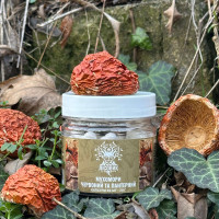 Мікс мухомора червоного та пантерного, "Лісовик", 60 капсул по 0,5 г