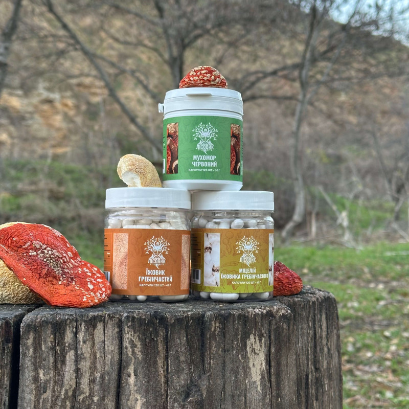 Курс MindBoost: Микродозинг для Ума (2 месяца), "Лесовик", 360 капсул