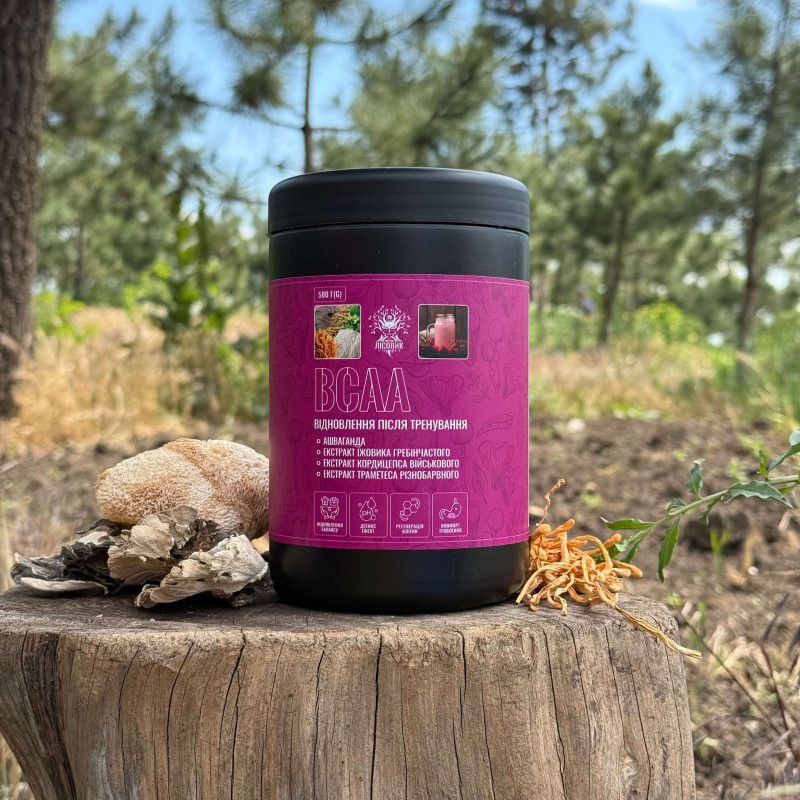 BCAA коктейль для восстановления после тренировки "Лесовик", 500 грамм