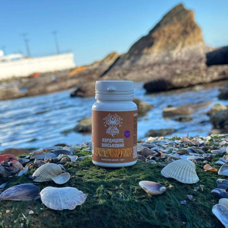 Кордицепс військовий, екстракт 10:1, "Лісовик", 60 капсул по 0,5 г