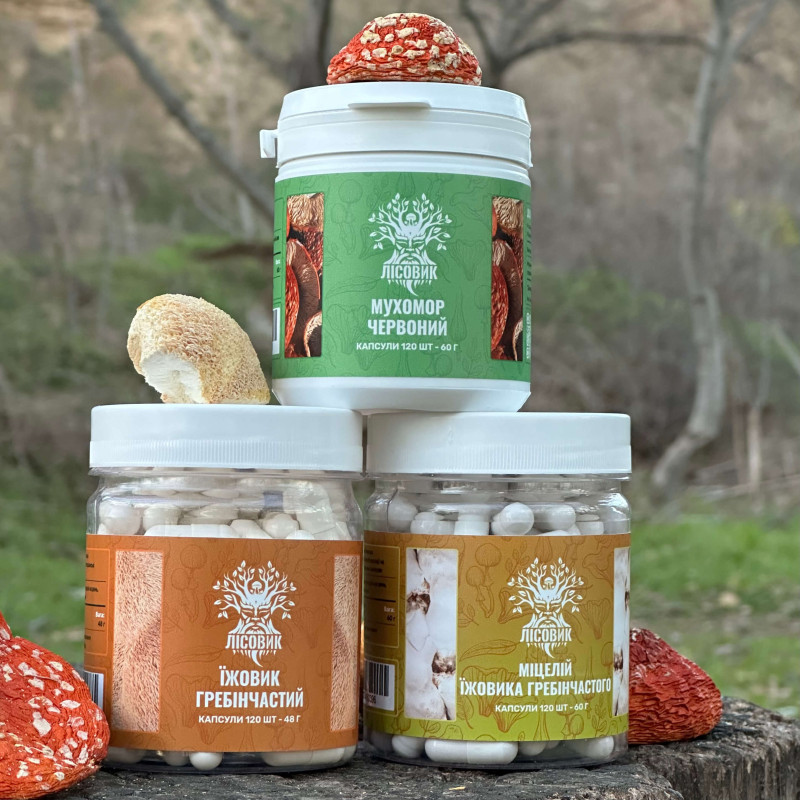 Курс MindBoost: Микродозинг для Ума (2 месяца), "Лесовик", 360 капсул