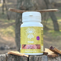 Рейші/Трутовик лакований, екстракт 10:1, "Лісовик", 60 капсул по 0.4 г