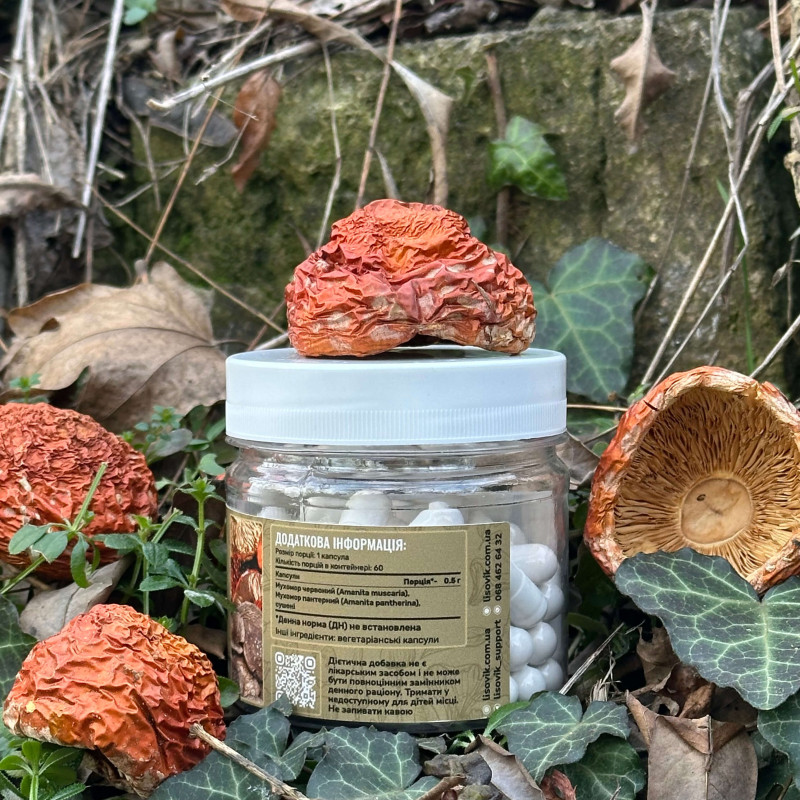 Микс мухомора красного и пантерного, "Лесовик", 60 капсул по 0,5 г