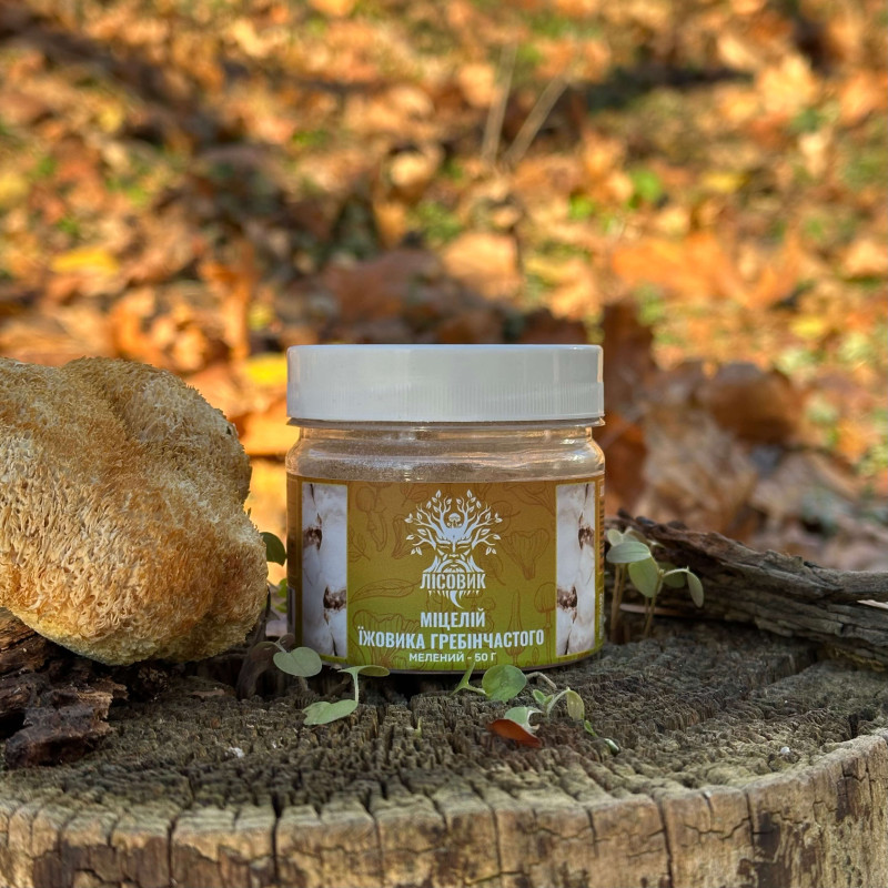 Мицелий ежовика гребенчатого, молотый, "Лесовик", 50 грамм