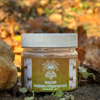 Міцелій їжовика гребінчастого, мелений, "Лісовик", 50 грам