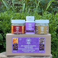 Курс Creativity Unleashed: Творчий потік (1 місяць), "Лісовик", 180 капсул