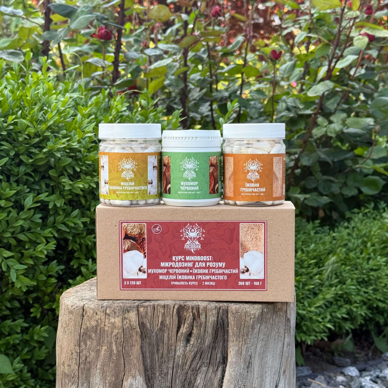 Курс MindBoost: Микродозинг для Ума (2 месяца), "Лесовик", 360 капсул