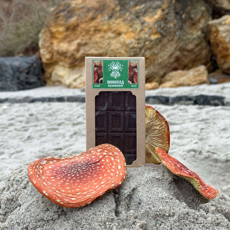 Шоколад грибний із мухомором червоним, "Лісовик", 100 грам (15 плиток по 6.6 г)