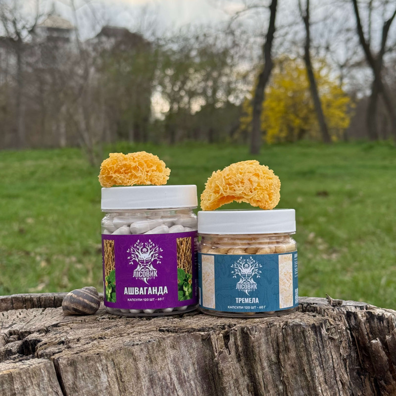 Курс Крепкий сон: Ашваганда и Тремелла (2 месяца), "Лесовик", 240 капсул