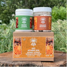 Курс Активный день: Кордицепс и Мухомор красный (2 месяца), "Лесовик", 240 капсул