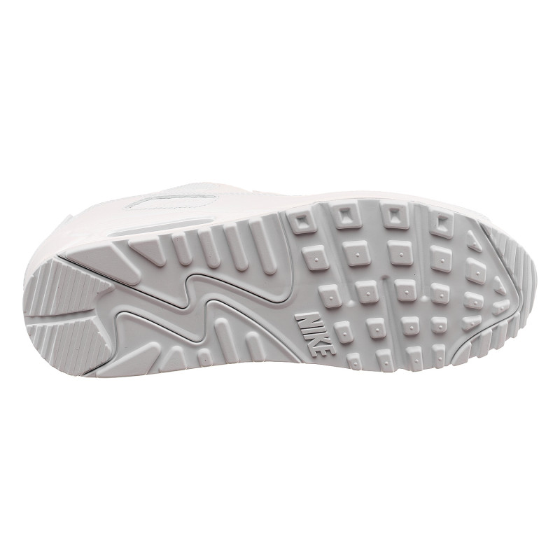 Кросівки чоловічі Nike Air Max 90 (CN8490-100)