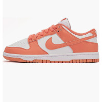 Кросівки жіночі Nike Dunk Low Next Nature (DD1873-109)