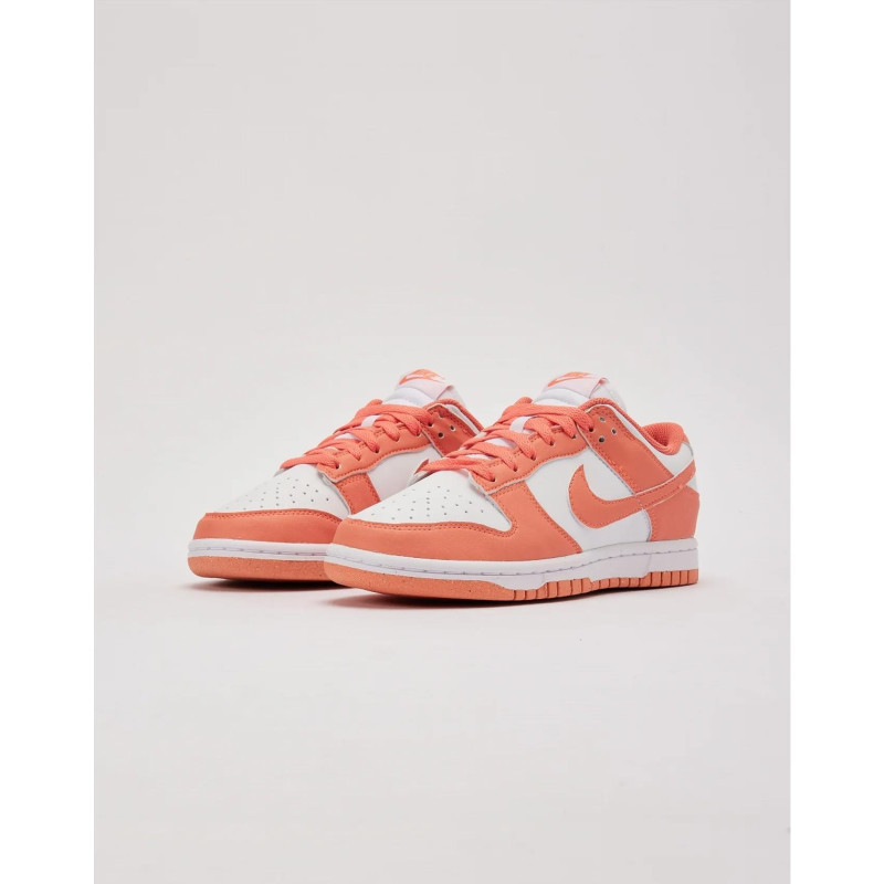 Кросівки жіночі Nike Dunk Low Next Nature (DD1873-109)