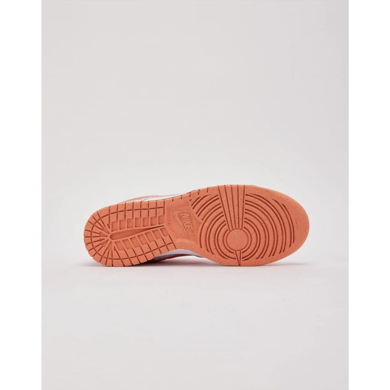 Кросівки жіночі Nike Dunk Low Next Nature (DD1873-109)