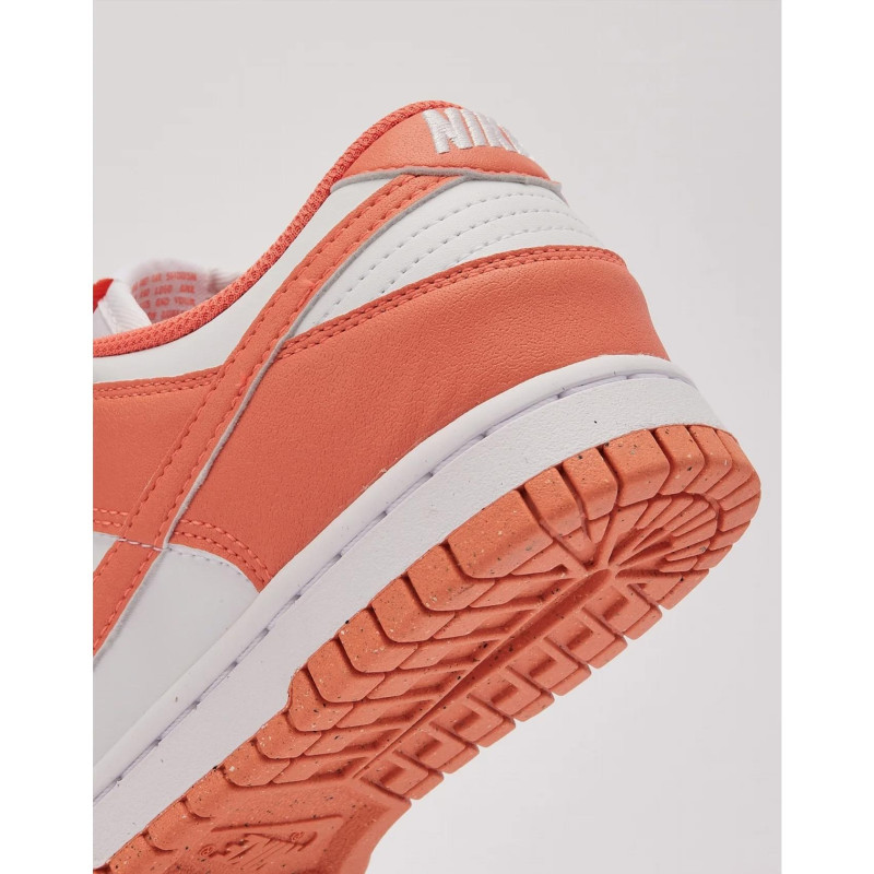Кросівки жіночі Nike Dunk Low Next Nature (DD1873-109)