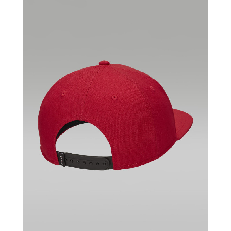 Кепка Jordan Pro (FD5184-687)