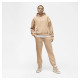 Брюки жіночі Jordan Air Brooklyn Fleece (FN4494-277)