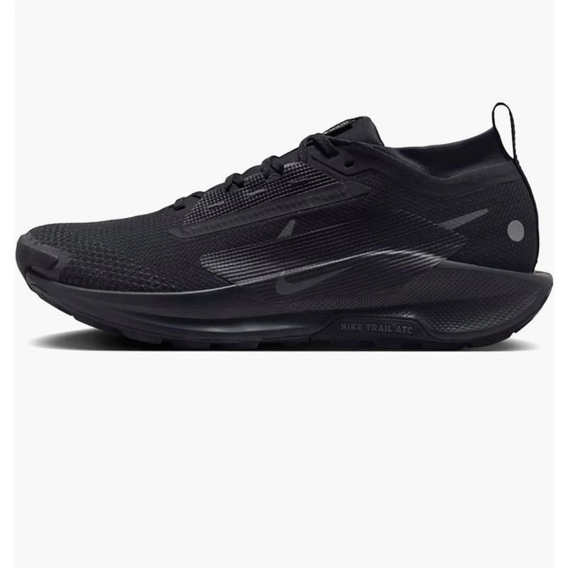 Кросівки для бігу чоловічі Nike Pegasus Trail 5 Gtx (FQ0908-002)