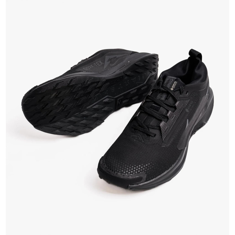 Кросівки для бігу чоловічі Nike Pegasus Trail 5 Gtx (FQ0908-002)