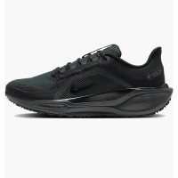 Кросівки для бігу чоловічі Nike Air Zoom Pegasus 41 Gore-Tex (FQ1356-001)
