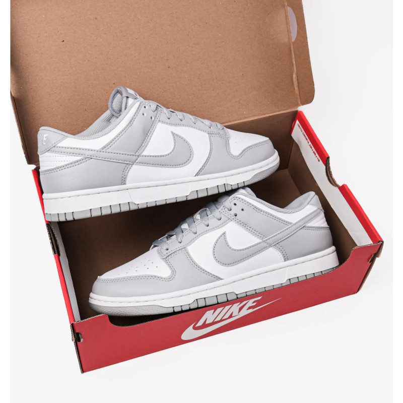 Кросівки чоловічі Nike Dunk Low Retro (HF5441-105)