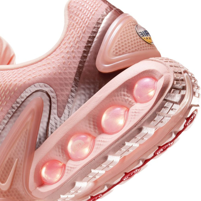 Кросівки жіночі Nike Air Max Dn "Washed Coral" (HV4861-601)