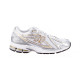 Кросівки чоловічі New Balance M1906 Ri (M1906RI)