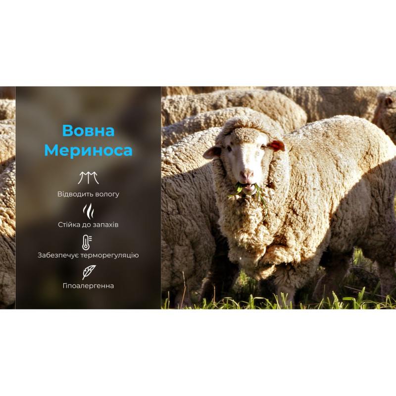 Шкарпетки водонепроникні Dexshell Hytherm Pro Socks, розмір L (43-46), чорні з коричневою смугою