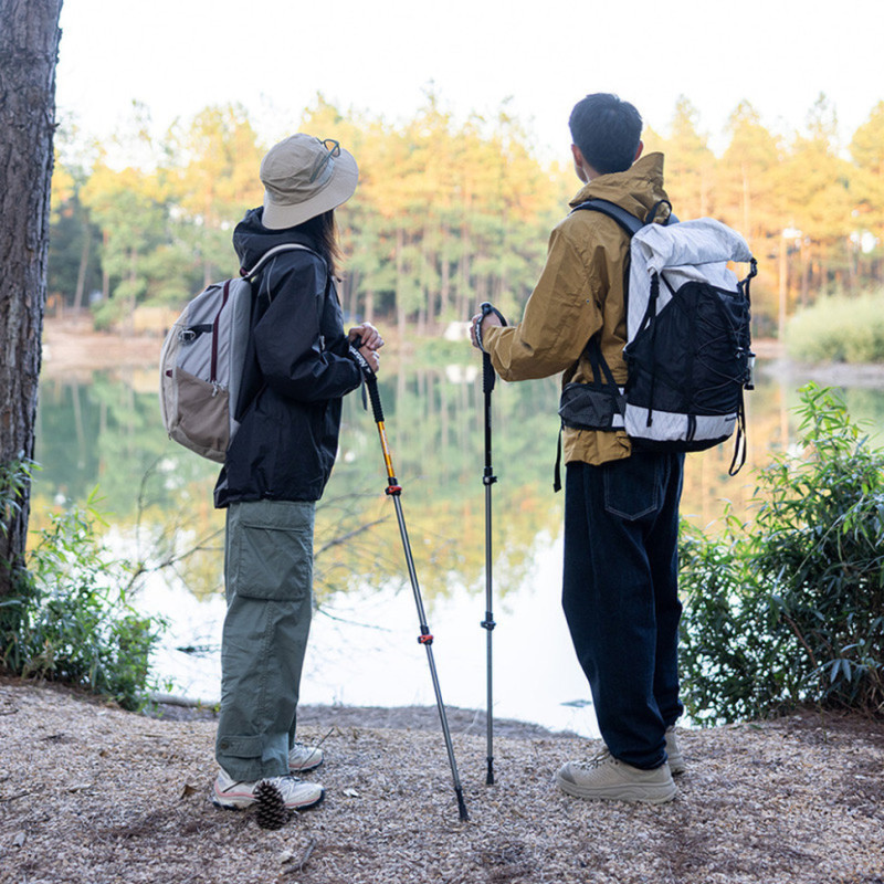 Трекінгові палиці 2шт Naturehike Men ST 01 6061 AL NH17D001-Z, 3-сек.,алюміній,сині