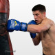 Боксерские перчатки Everlast 6 унций (6 oz) синие