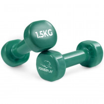 Гантель вінілова PowerPlay 4125 Achilles 2*1,5 кг. Зелені (2шт.) Гантель вінілова PowerPlay 4125 Achilles 2*1,5 кг. Зелені (2шт.)