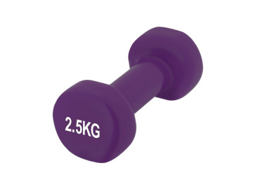 Гантель вінілова PowerPlay 4125 Achilles 2.5 кг. Фіолетова (1шт.)