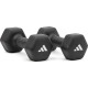 Гантелі Adidas Dumbbells