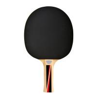 Ракетка для пінг-понгу Donic Top Teams 300