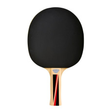 Ракетка для пінг-понгу Donic Top Teams 300