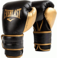 Боксерські рукавиці Everlast POWERLOCK 2R TRAINING GLOVE