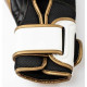 Боксерські рукавиці Everlast POWERLOCK 2R TRAINING GLOVE