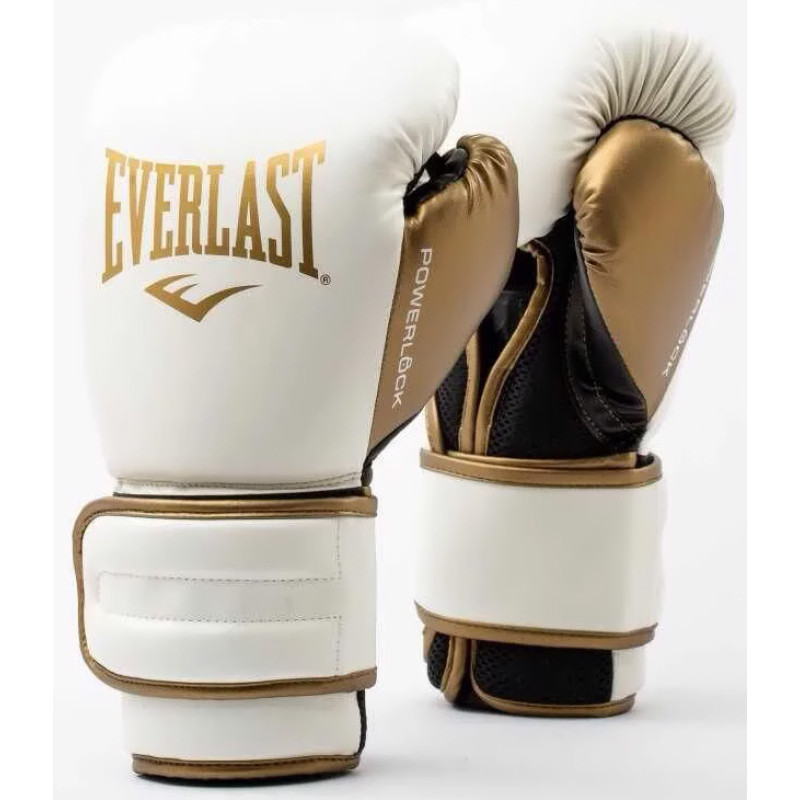 Боксерські рукавиці Everlast POWERLOCK 2R TRAINING GLOVE