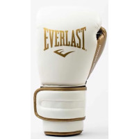 Боксерські рукавиці Everlast POWERLOCK 2R TRAINING GLOVE
