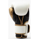 Боксерські рукавиці Everlast POWERLOCK 2R TRAINING GLOVE
