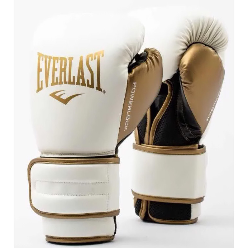 Боксерські рукавиці Everlast POWERLOCK 2R TRAINING GLOVE