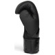 Боксерські рукавиці Everlast ELITE 2 BOXING GLOVES