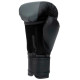 Боксерські рукавиці Everlast PROSPECT 2 BOXING GLOVE