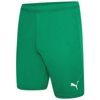 Шорти Puma teamRISE Short