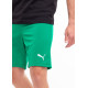Шорти Puma teamRISE Short