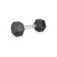 Гантель шестигранна inSPORTline Hexclusive 6 кг