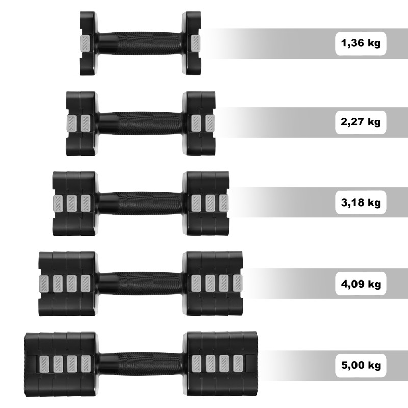 Гантелі розбірні HMS HL02 2 x 5 кг, чорні
