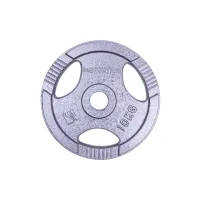 Диск inSPORTline Hamerton, 10 кг, 30 мм, чугунный