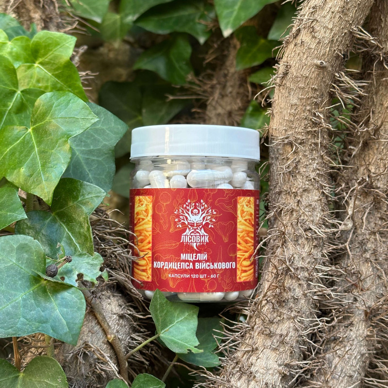 Міцелій кордицепса військового, "Лісовик", 120 капсул по 0,5 г
